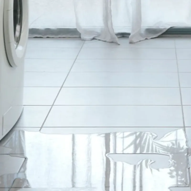 Appliance Leak Cleanup in Mountain House, CA