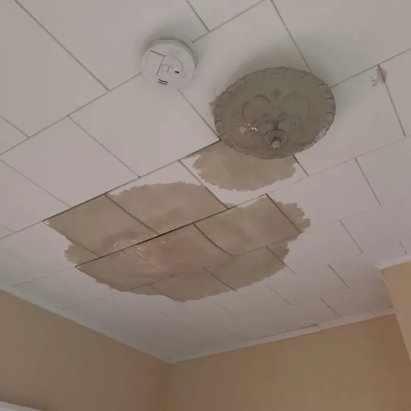 Ceiling Water Damage Repair in Mountain House, CA